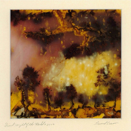 First Night of the World - 14x17 Matted