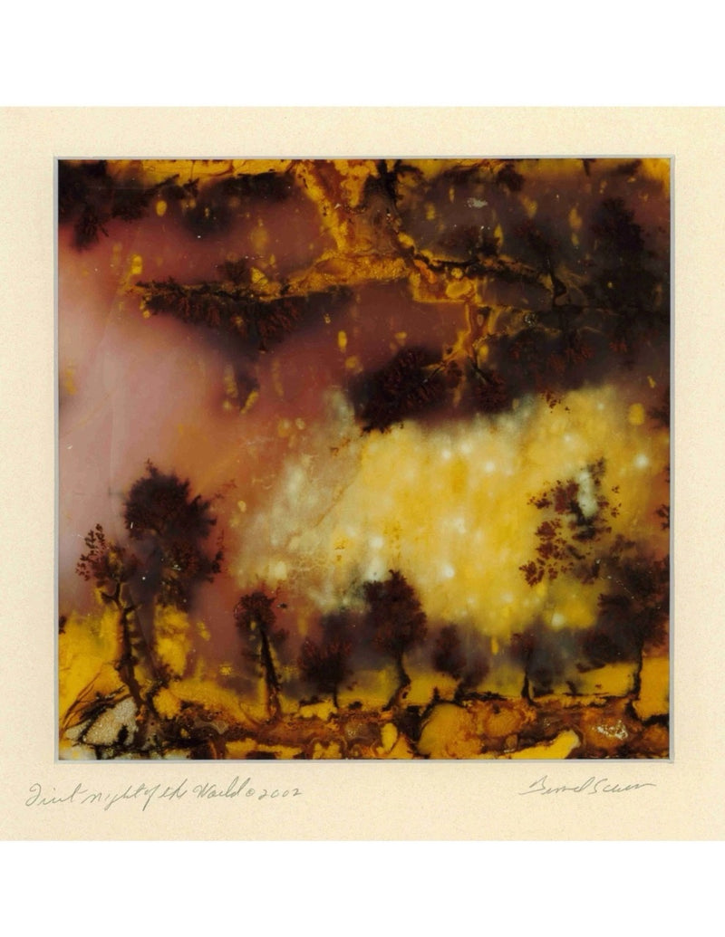 First Night of the World - 14x17 Matted