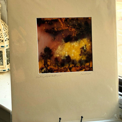 First Night of the World - 14x17 Matted