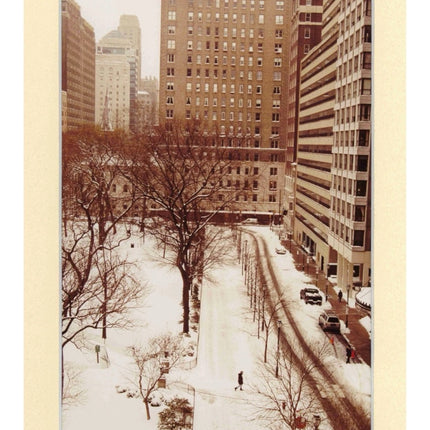 Winter Walk - 14" x 17" Matted