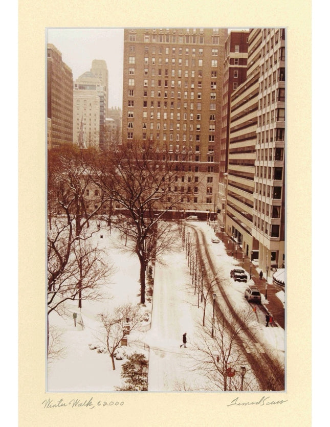 Winter Walk - 14" x 17" Matted