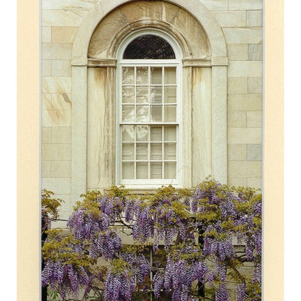 Wisteria & Window - 14x17 Matted
