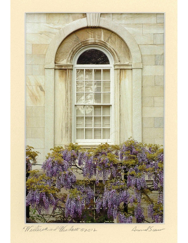 Wisteria & Window - 14x17 Matted
