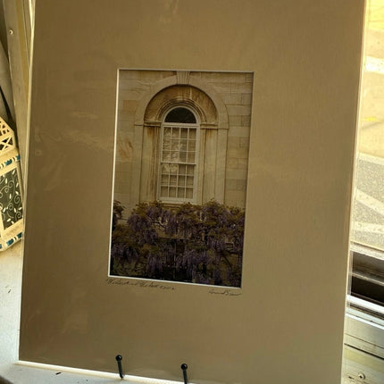 Wisteria & Window - 14x17 Matted