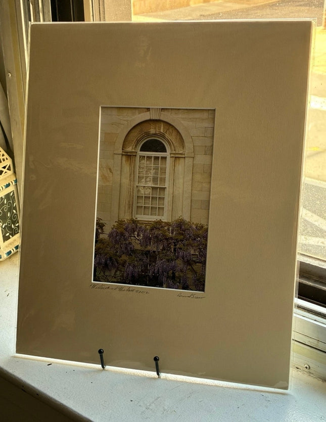 Wisteria & Window - 14x17 Matted